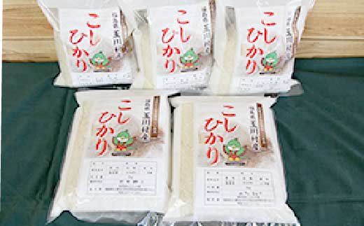 【こぶしの里】福島県産コシヒカリ米(10kg)　
